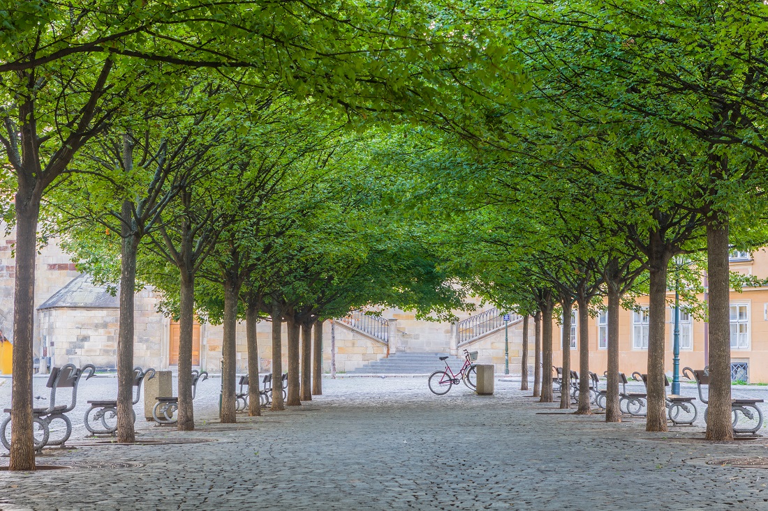 Kampa island, Prague